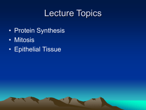 Lecture 3-213.ppt