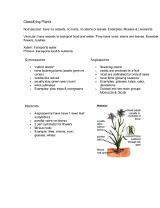 Classifying Plants