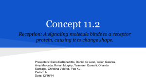 Concept 11.2 Reception: A signaling molecule binds to a receptor