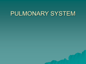 PULMONARY SYSTEM