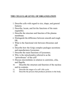 THE CELLULAR LEVEL OF ORGANIZATION  features.