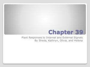 Chapter 39 Plant Responses to Internal and External Signals