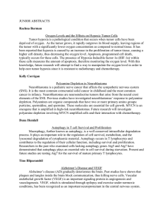 JUNIOR ABSTRACTS  Oxygen Levels and the Effects on Hypoxic Tumor Cells