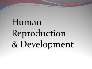 Human Reproduction &amp; Development