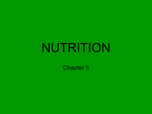 NUTRITION Chapter 5