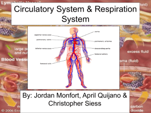 Circulatory System &amp; Respiration System By: Jordan Monfort, April Quijano &amp; Christopher Siess