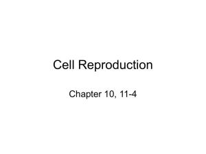 Cell Reproduction Chapter 10, 11-4