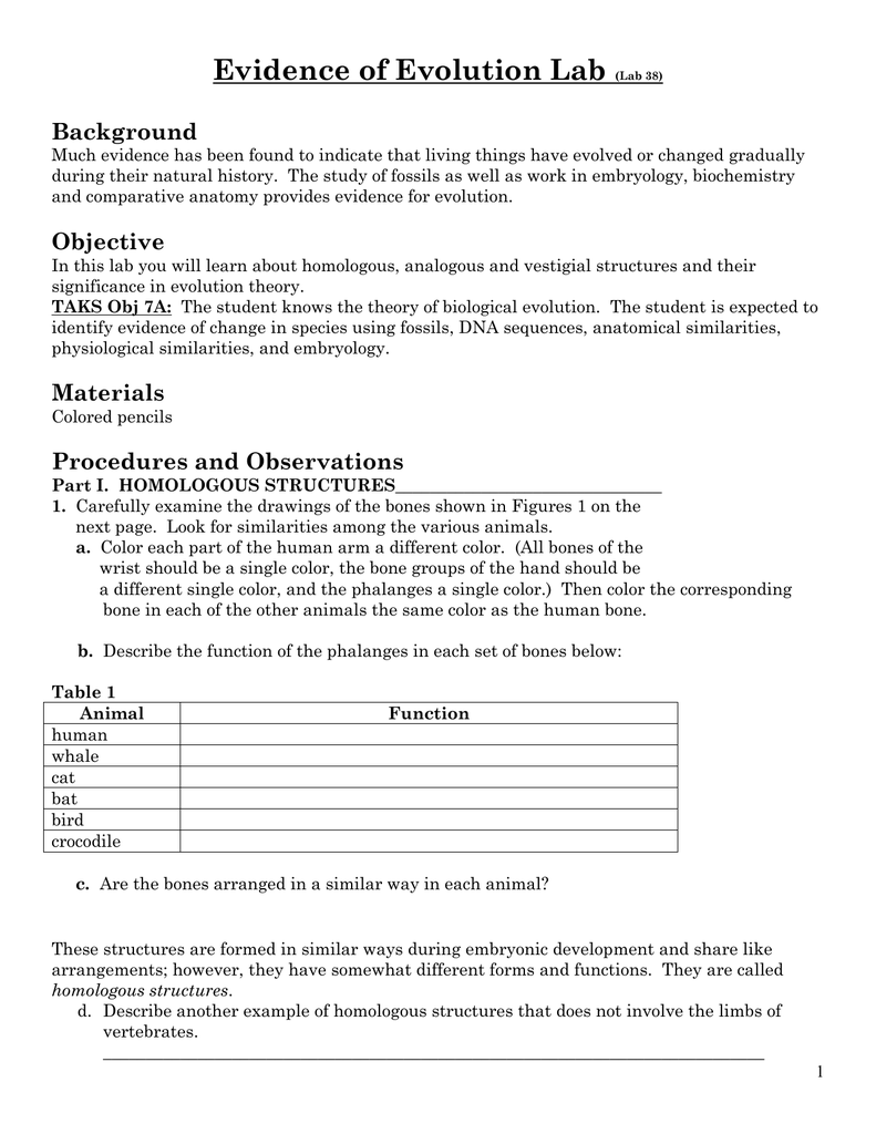 Evidence of Evolution Lab Background With Regard To Evidence Of Evolution Worksheet Answers
