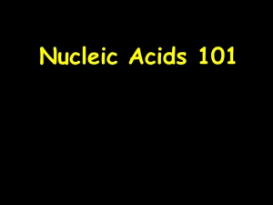 Nucleic Acids 101