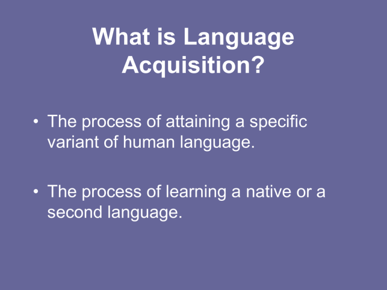 what-is-language-acquisition