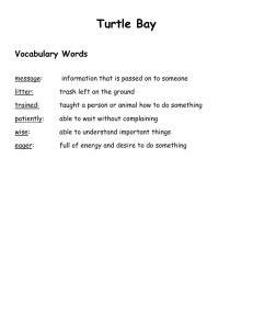 Turtle Bay Vocabulary Words