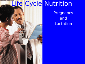 Life Cycle Nutrition Pregnancy and