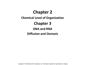 Chapter 2 Chapter 3 Chemical Level of Organization DNA and RNA