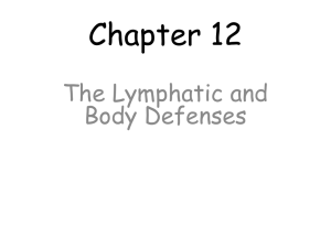 Chapter 12 The Lymphatic and Body Defenses