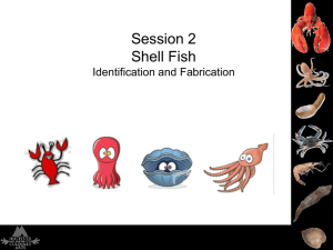 Session 2 Shell Fish Identification and Fabrication