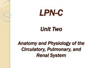 LPN-C Unit Two Anatomy and Physiology of the Circulatory, Pulmonary, and