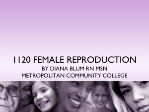 1120 FEMALE REPRODUCTION BY DIANA BLUM RN MSN METROPOLITAN COMMUNITY COLLEGE