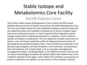 Stable Isotope and Metabolomics Core Facility AECOM Diabetes Center