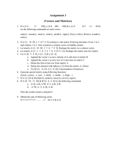 Assignment 3 (Vectors and Matrices)