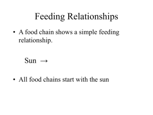 Feeding Relationships Sun  → relationship.