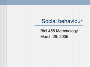 Social behaviour Biol 455 Mammalogy March 29, 2005