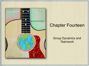 Chapter Fourteen Group Dynamics and Teamwork