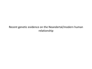 Recent genetic evidence on the Neandertal/modern human relationship