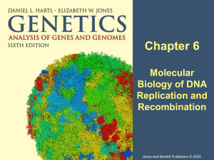 Chapter 6 Molecular Biology of DNA Replication and