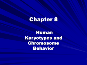 Chapter 8 Human Karyotypes and Chromosome
