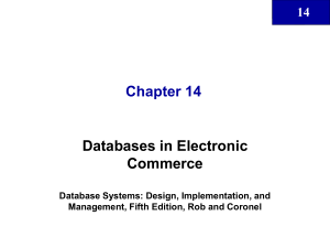 Chapter 14 Databases in Electronic Commerce 14