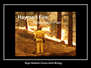 Hayman Fire: Restoration Plan