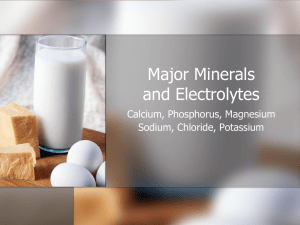 Major Minerals and Electrolytes Calcium, Phosphorus, Magnesium Sodium, Chloride, Potassium