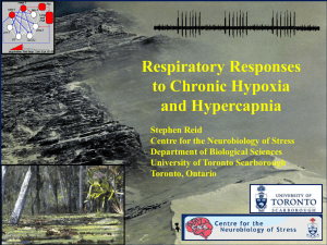 Respiratory Responses to Chronic Hypoxia and Hypercapnia