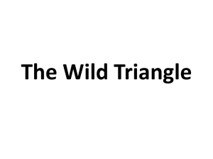 The Wild Triangle