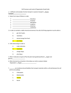 Cell Processes and Levels of Organization Study Guide