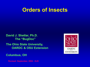 Orders of Insects David J. Shetlar, Ph.D. The “BugDoc” The Ohio State University,