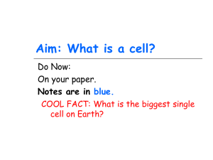 Aim: What is a cell? Do Now: On your paper. Notes are in