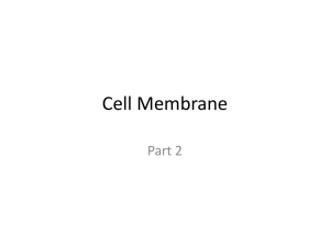 Cell Membrane Part 2