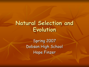 Natural Selection and Evolution Spring 2007 Dobson High School