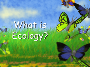 What is Ecology? 1