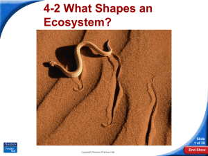 4-2 What Shapes an Ecosystem? Slide 1 of 39