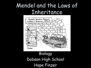 Mendel and the Laws of Inheritance Biology Dobson High School