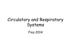 Circulatory and Respiratory Systems Finz 2014