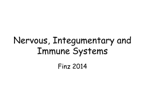 Nervous, Integumentary and Immune Systems Finz 2014