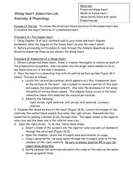 Anatomy homework answers