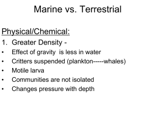 Marine vs. Terrestrial Physical/Chemical: 1. Greater Density -