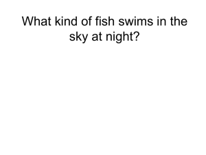 What kind of fish swims in the sky at night?