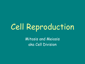 Cell Reproduction Mitosis and Meiosis aka Cell Division