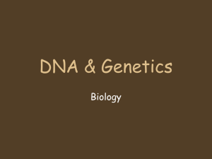 DNA &amp; Genetics Biology