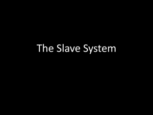 The Slave System